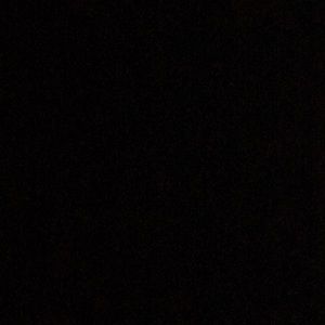 Meet your Posher, Landon